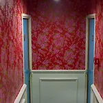 레이체플레인 *