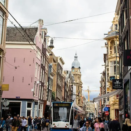 هوستال لايدزبلين *