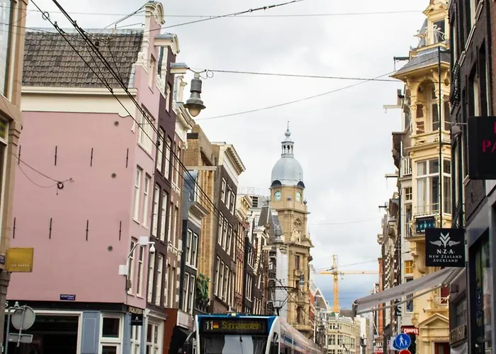 هوستال لايدزبلين *